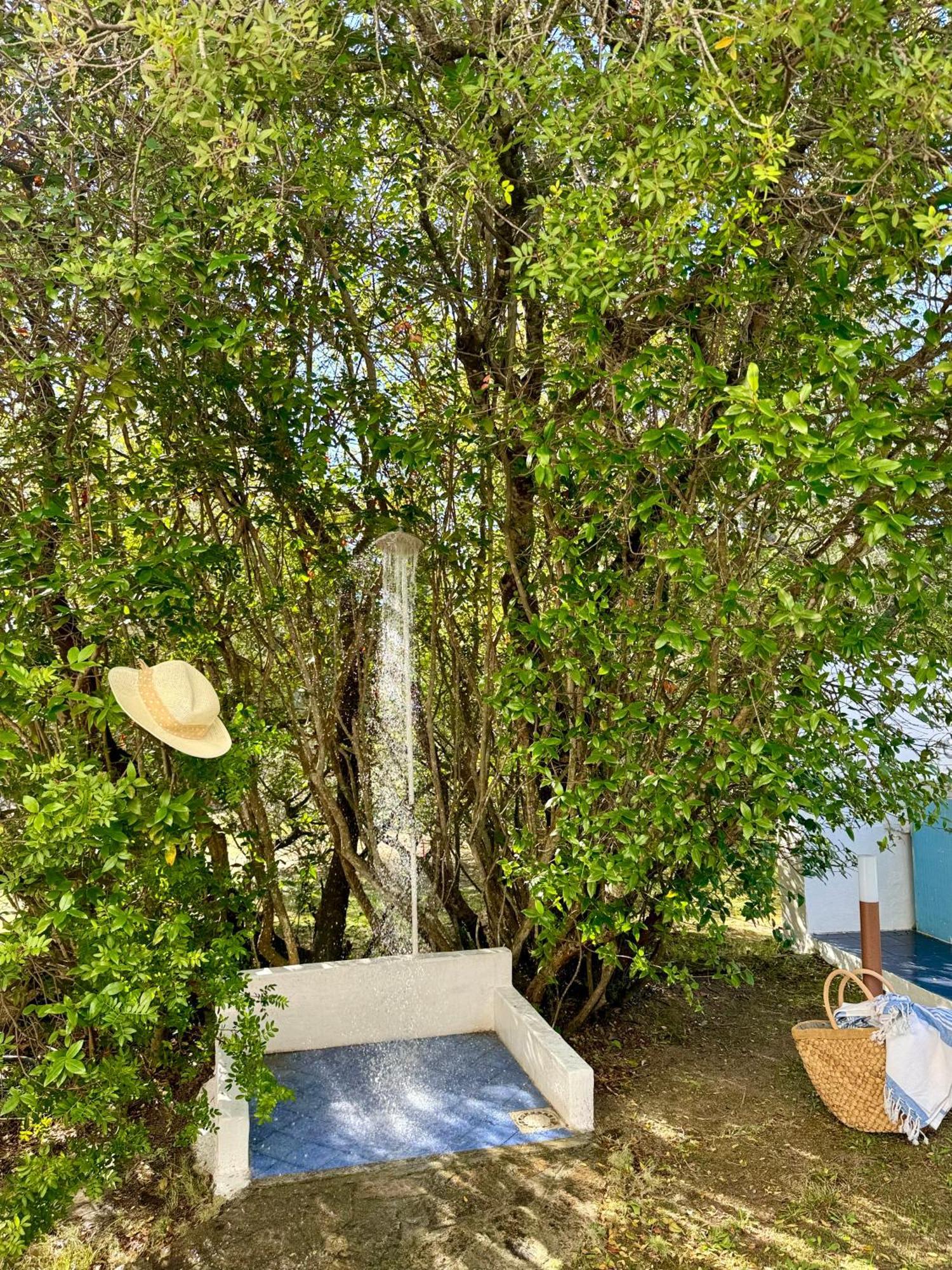 אולביה Garden Retreat - Homey Experience מראה חיצוני תמונה